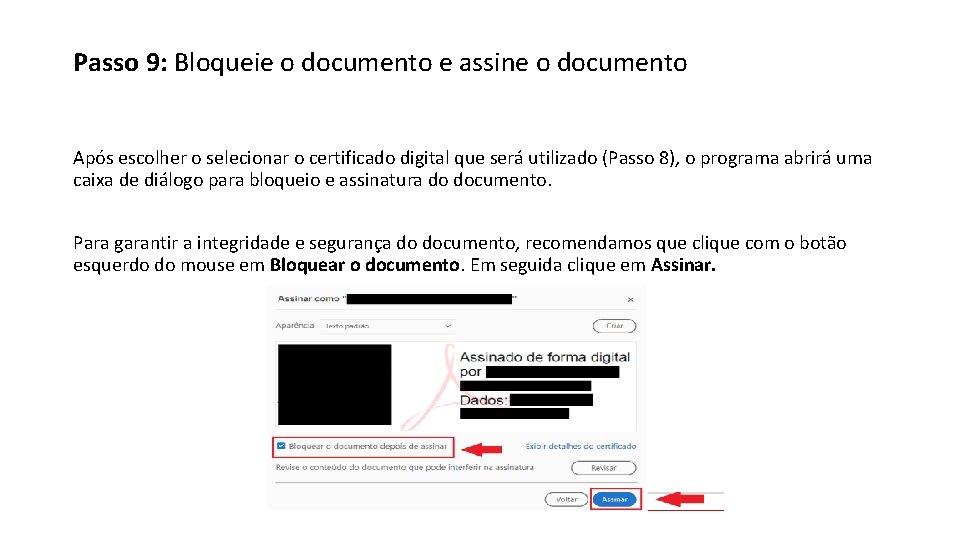 Passo 9: Bloqueie o documento e assine o documento Após escolher o selecionar o