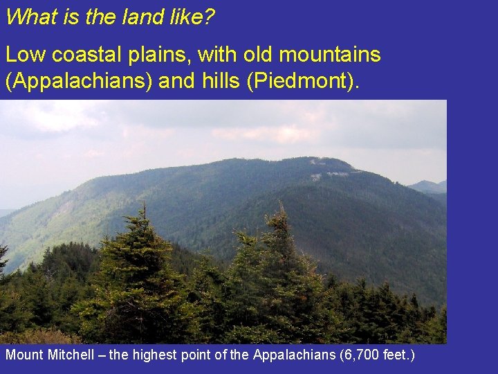 What is the land like? Low coastal plains, with old mountains (Appalachians) and hills What is the land like? Low coastal plains, with old mountains (Appalachians) and hills