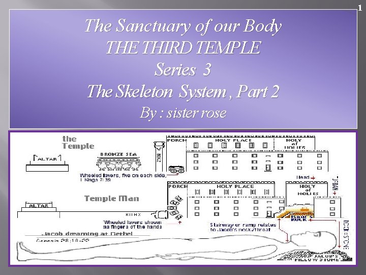 1 The Sanctuary of our Body THE THIRD TEMPLE Series 3 The Skeleton System