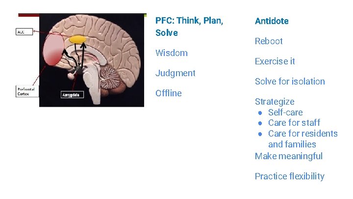PFC: Think, Plan, Solve Wisdom Judgment Offline Antidote Reboot Exercise it Solve for isolation