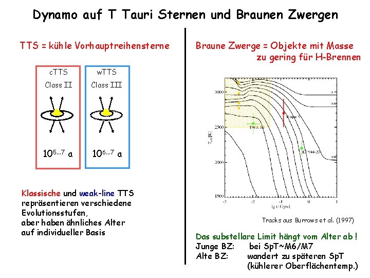 Dynamo auf T Tauri Sternen und Braunen Zwergen TTS = kühle Vorhauptreihensterne c. TTS