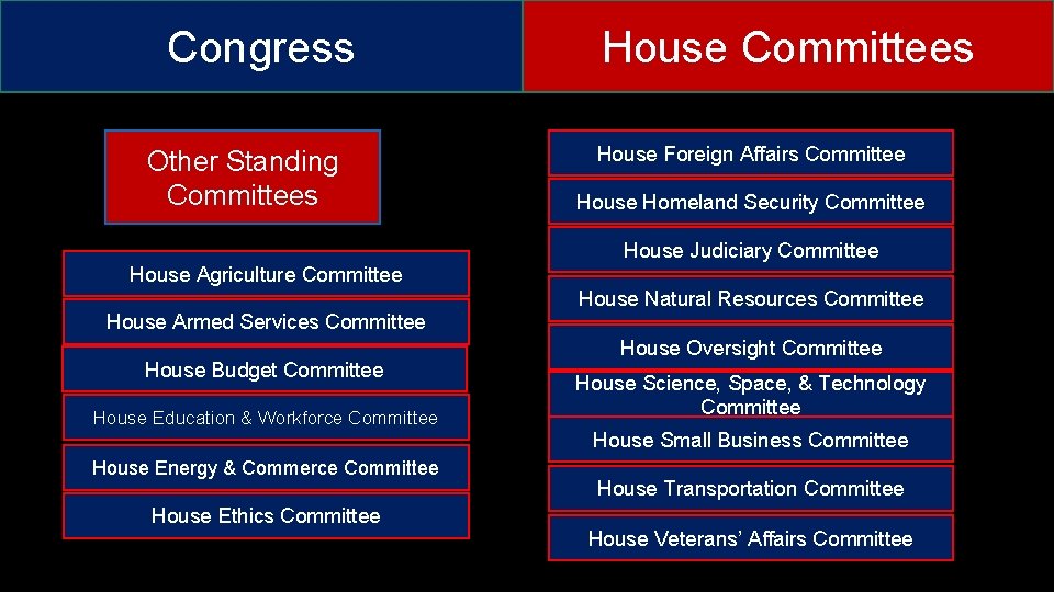 Congress Other Standing Committees House Foreign Affairs Committee House Homeland Security Committee House Judiciary