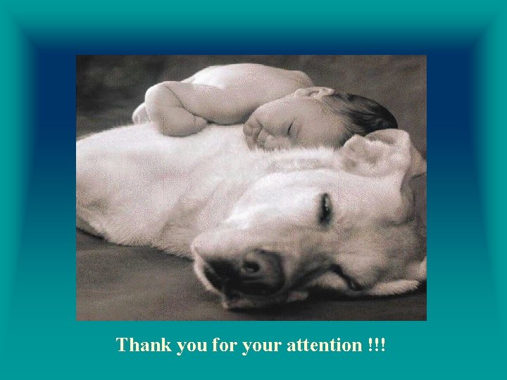 Thank you for your attention !!! 