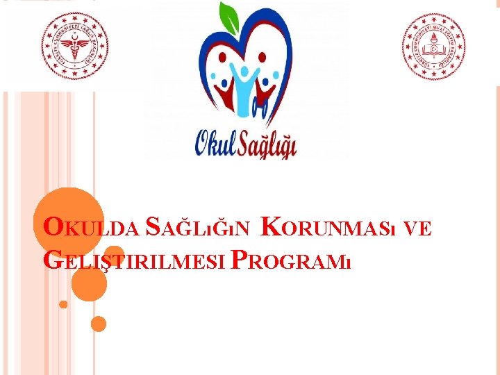 OKULDA SAĞLıĞıN KORUNMASı VE GELIŞTIRILMESI PROGRAMı 