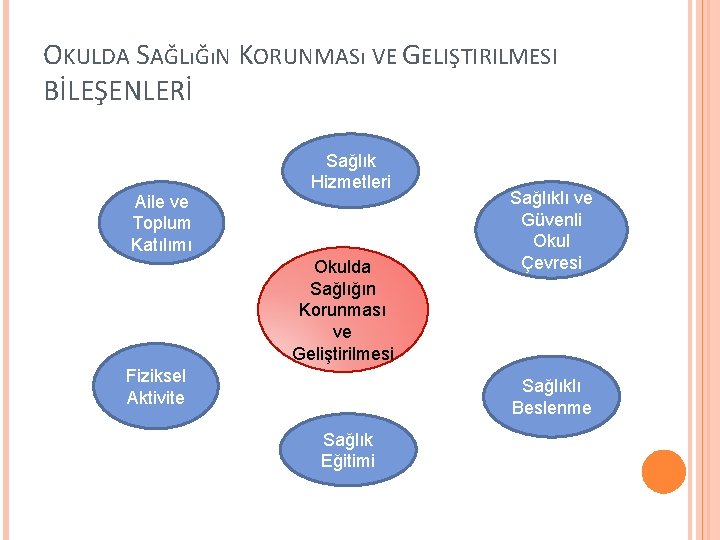 OKULDA SAĞLıĞıN KORUNMASı VE GELIŞTIRILMESI BİLEŞENLERİ Aile ve Toplum Katılımı Sağlık Hizmetleri Okulda Sağlığın