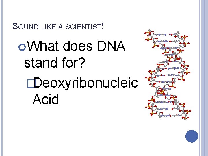 SOUND LIKE A SCIENTIST! What does DNA stand for? �Deoxyribonucleic Acid 
