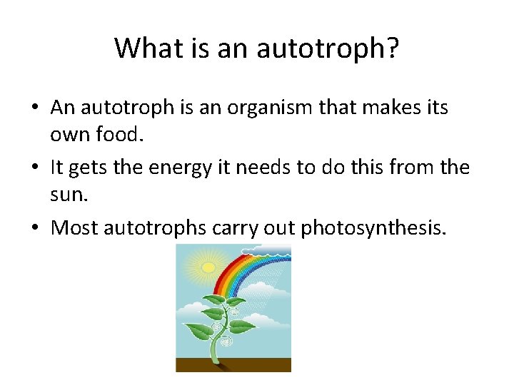 What is an autotroph? • An autotroph is an organism that makes its own What is an autotroph? • An autotroph is an organism that makes its own