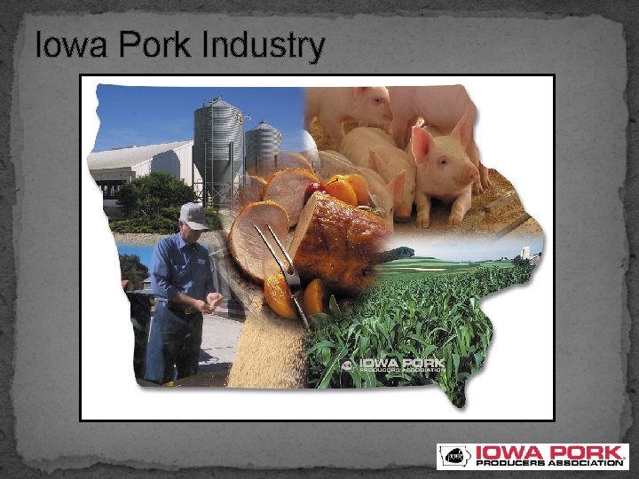 Iowa Pork Industry 