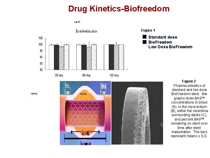 The Bio Freedom Surface Etching Polymerfree Drug Coated