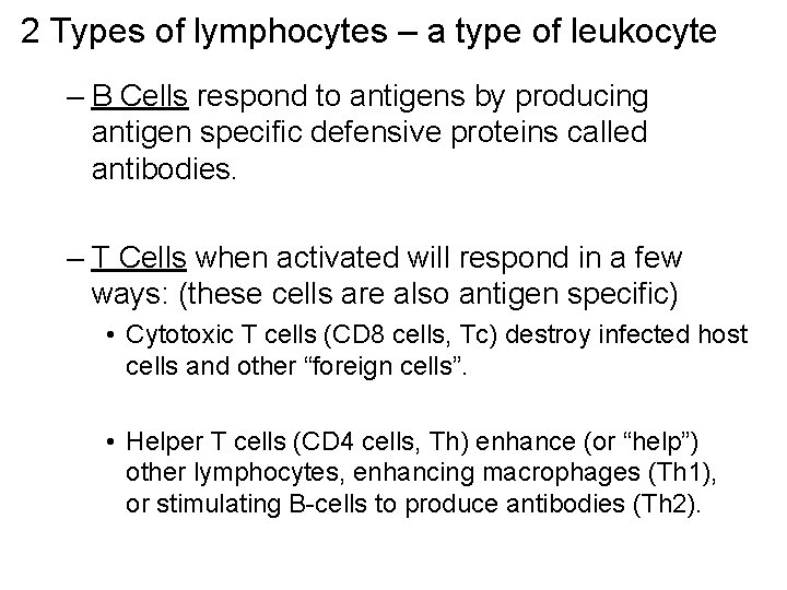 2 Types of lymphocytes – a type of leukocyte – B Cells respond to