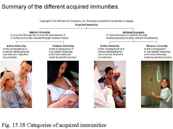 Summary of the different acquired immunities. Fig. 15. 18 Categories of acquired immunities 