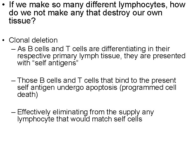  • If we make so many different lymphocytes, how do we not make