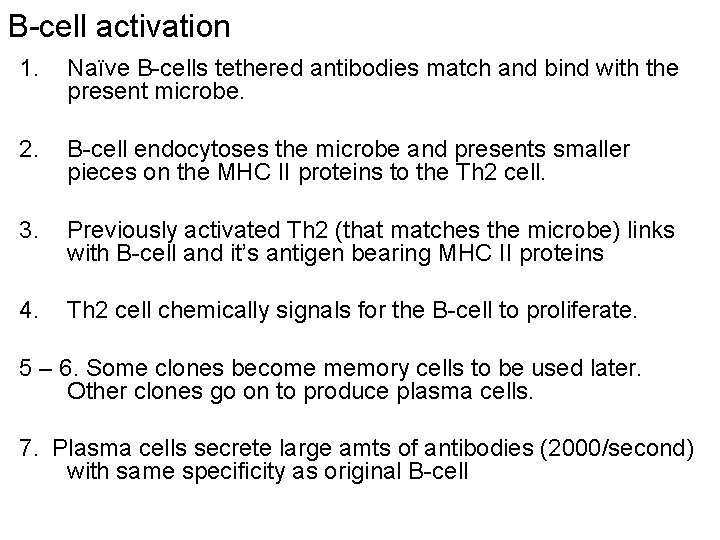B-cell activation 1. Naïve B-cells tethered antibodies match and bind with the present microbe.