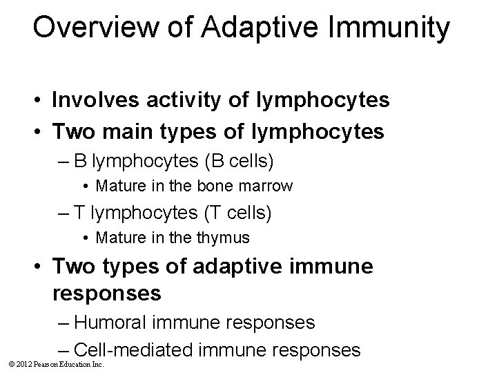 Overview of Adaptive Immunity • Involves activity of lymphocytes • Two main types of