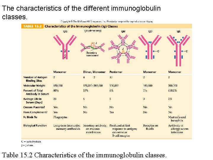 The characteristics of the different immunoglobulin classes. Table 15. 2 Characteristics of the immunoglobulin