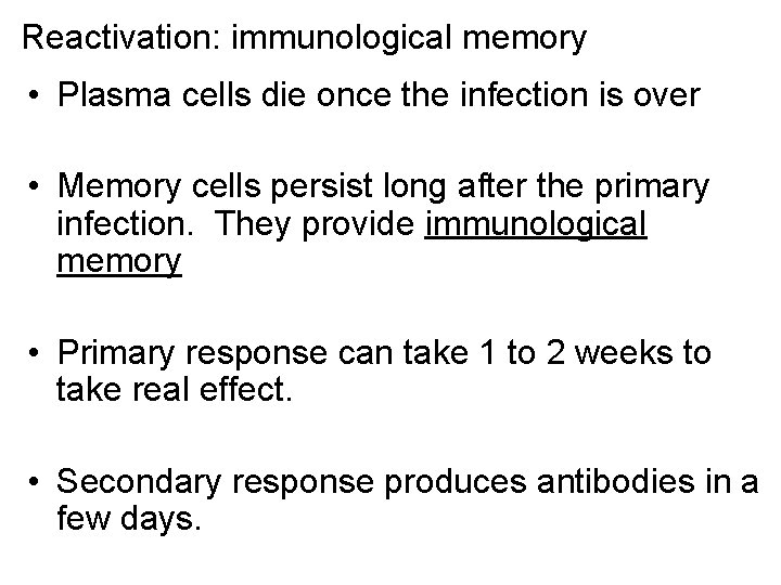 Reactivation: immunological memory • Plasma cells die once the infection is over • Memory