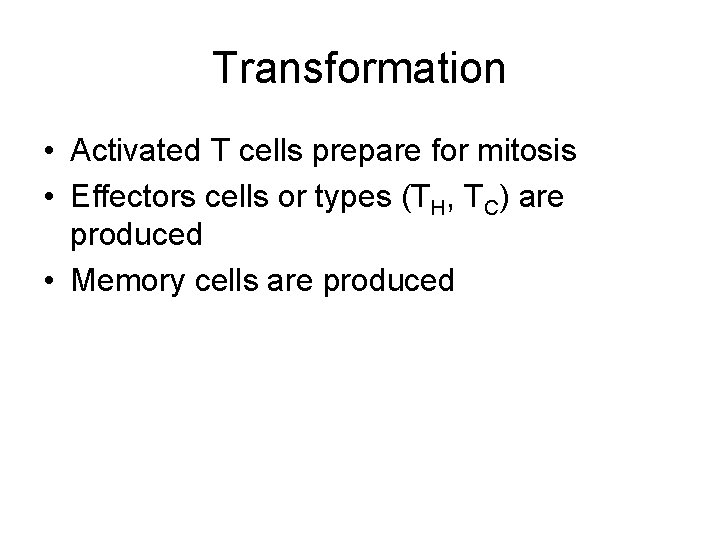 Transformation • Activated T cells prepare for mitosis • Effectors cells or types (TH,