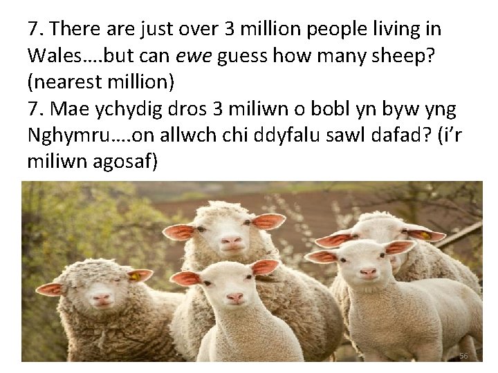 7. There are just over 3 million people living in Wales…. but can ewe