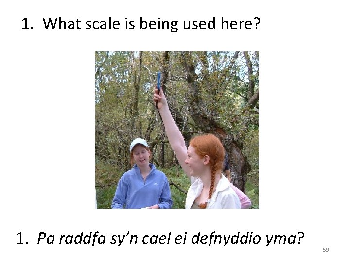 1. What scale is being used here? 1. Pa raddfa sy’n cael ei defnyddio