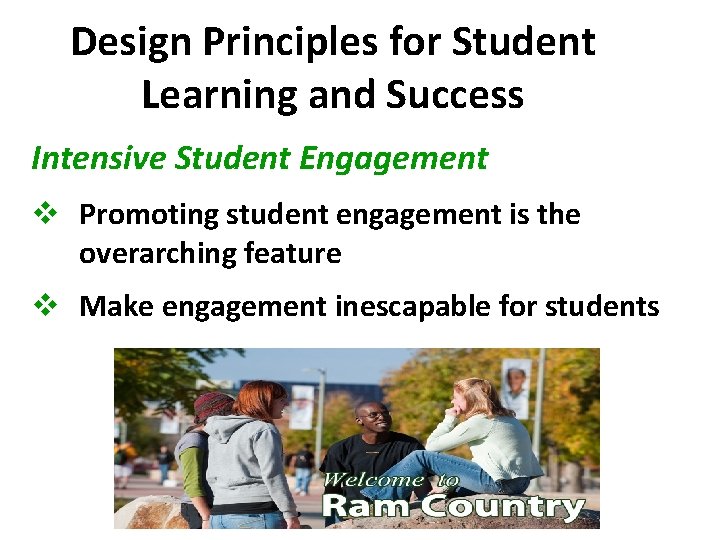 Design Principles for Student Learning and Success Intensive Student Engagement v Promoting student engagement