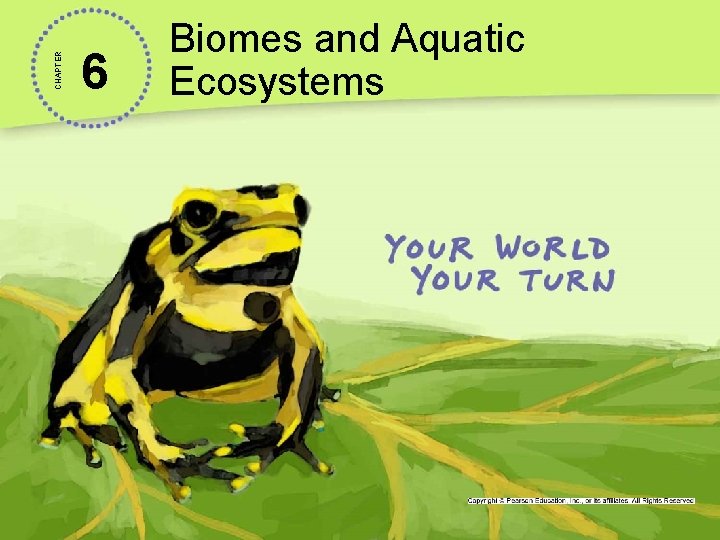 CHAPTER 6 Biomes and Aquatic Ecosystems 