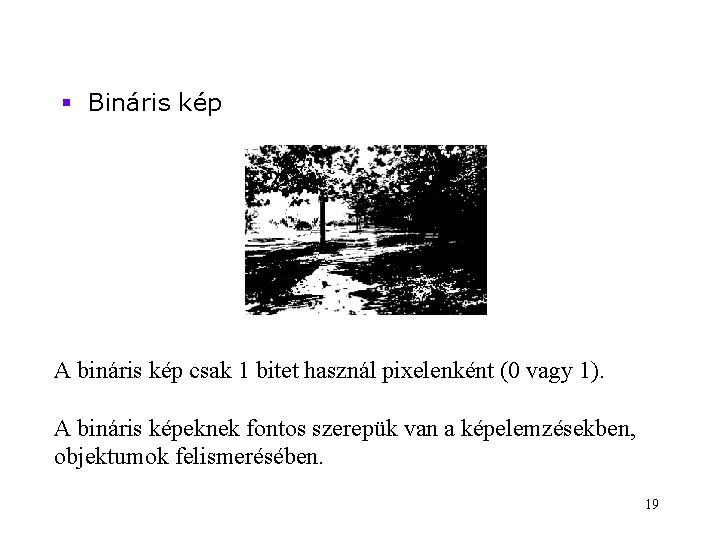 § Bináris kép A bináris kép csak 1 bitet használ pixelenként (0 vagy 1).