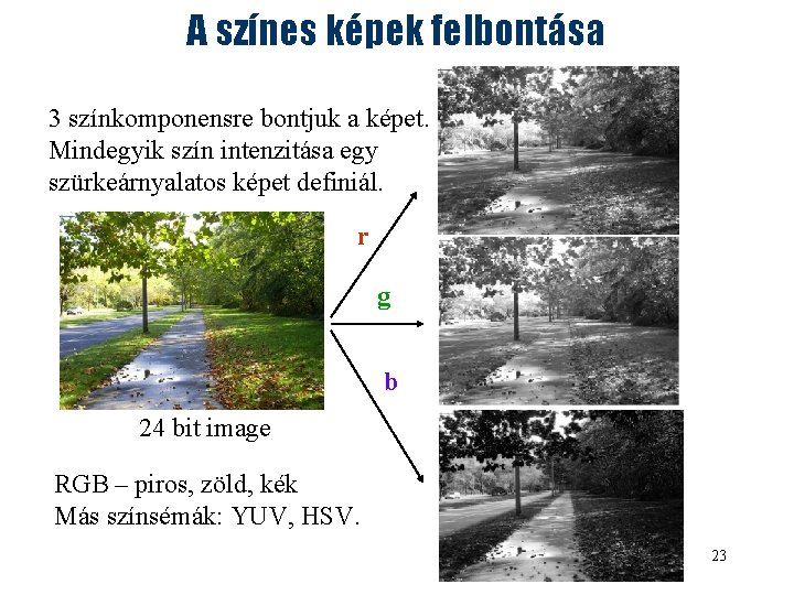 A színes képek felbontása 3 színkomponensre bontjuk a képet. Mindegyik szín intenzitása egy szürkeárnyalatos