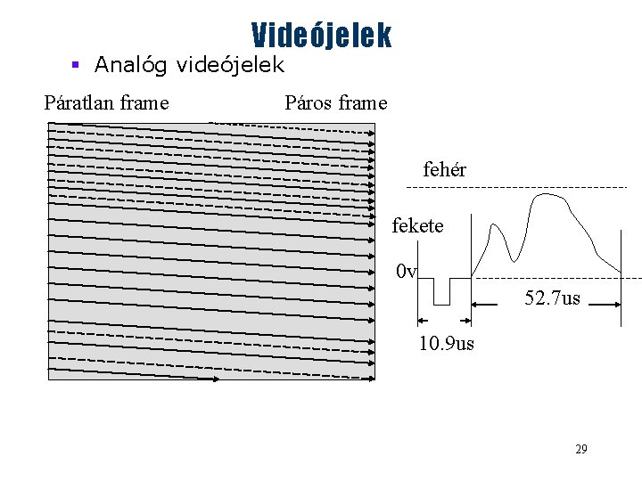 Videójelek § Analóg videójelek Páratlan frame Páros frame fehér fekete 0 v 52. 7