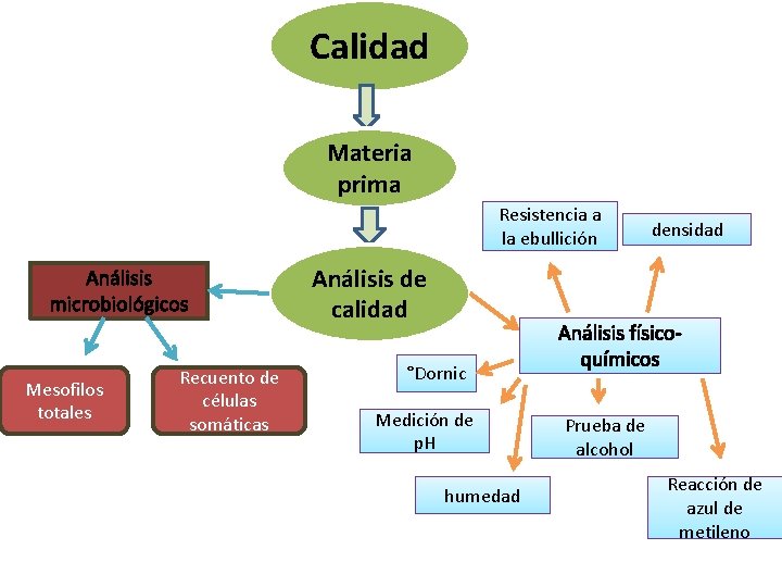 Calidad Materia prima Resistencia a la ebullición Análisis microbiológicos Mesofilos totales Recuento de células