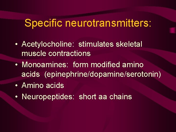 Specific neurotransmitters: • Acetylocholine: stimulates skeletal muscle contractions • Monoamines: form modified amino acids Specific neurotransmitters: • Acetylocholine: stimulates skeletal muscle contractions • Monoamines: form modified amino acids