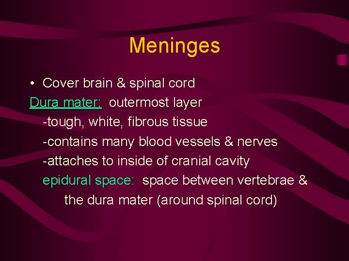 Meninges • Cover brain & spinal cord Dura mater: outermost layer -tough, white, fibrous Meninges • Cover brain & spinal cord Dura mater: outermost layer -tough, white, fibrous