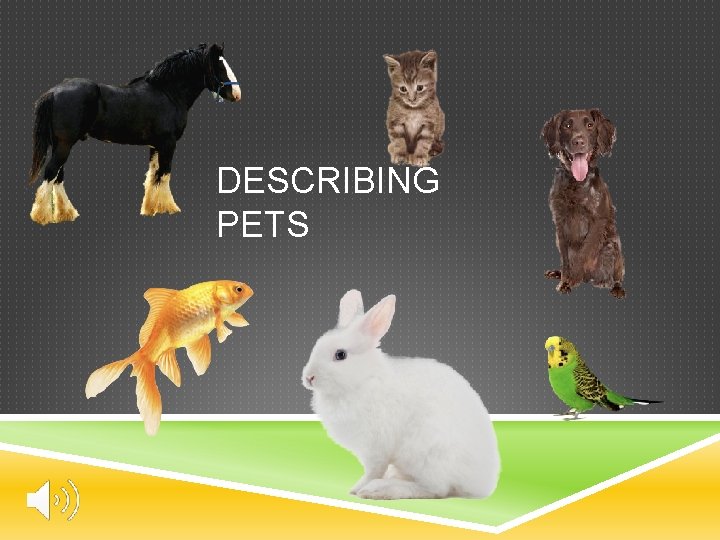 DESCRIBING PETS 