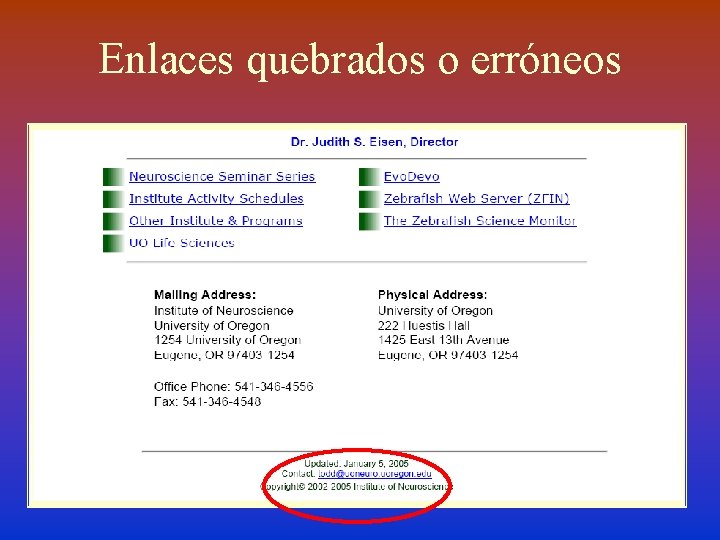 Enlaces quebrados o erróneos 
