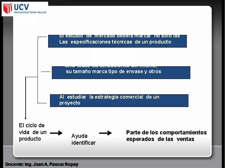 El estudio de mercado deberá marcar no solo las Las especificaciones técnicas de un