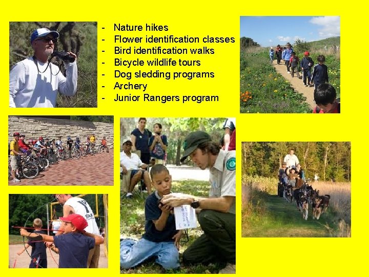 - Nature hikes Flower identification classes Bird identification walks Bicycle wildlife tours Dog sledding