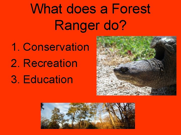 What does a Forest Ranger do? 1. Conservation 2. Recreation 3. Education 