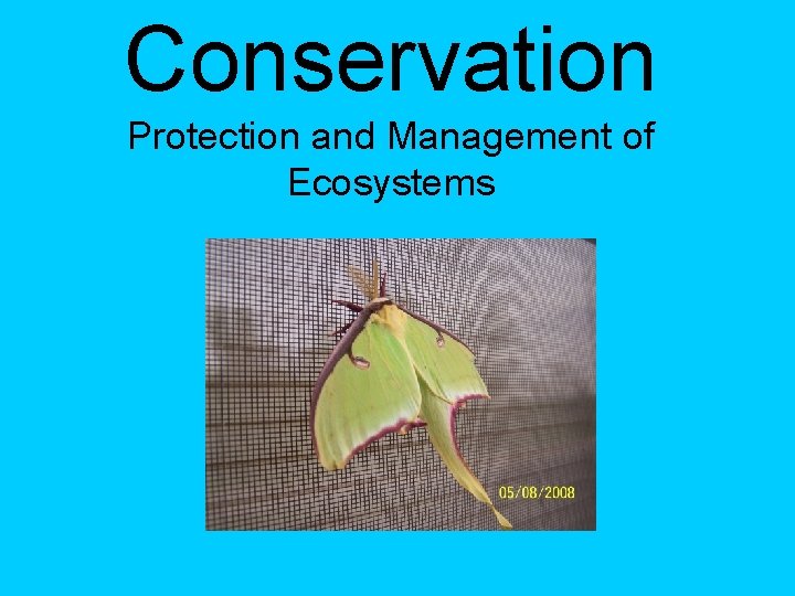 Conservation Protection and Management of Ecosystems 