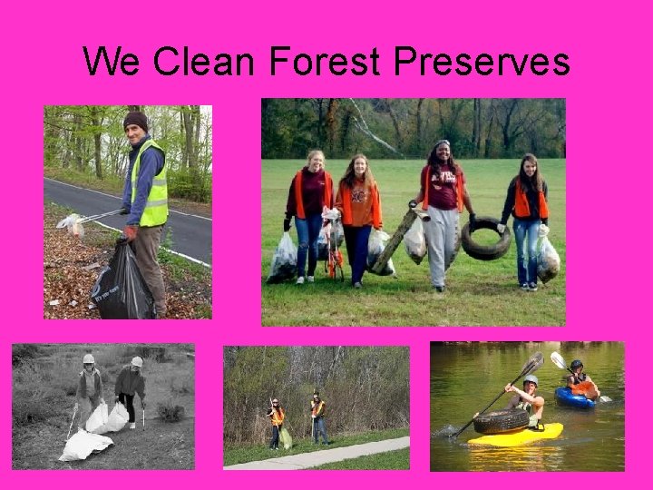 We Clean Forest Preserves 