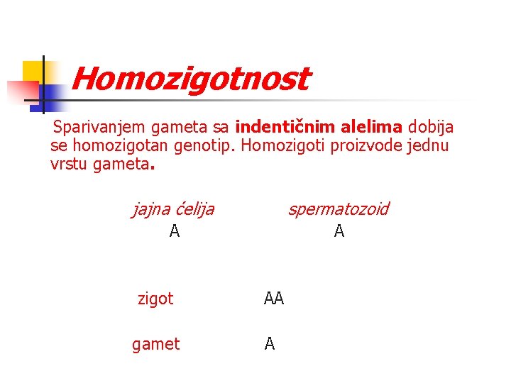 Homozigotnost Sparivanjem gameta sa indentičnim alelima dobija se homozigotan genotip. Homozigoti proizvode jednu vrstu
