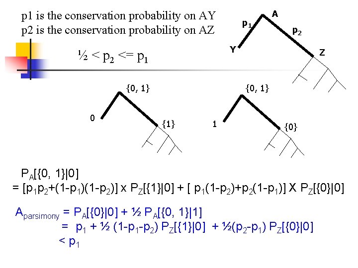 p 1 is the conservation probability on AY p 2 is the conservation probability