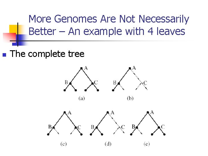 More Genomes Are Not Necessarily Better – An example with 4 leaves n The