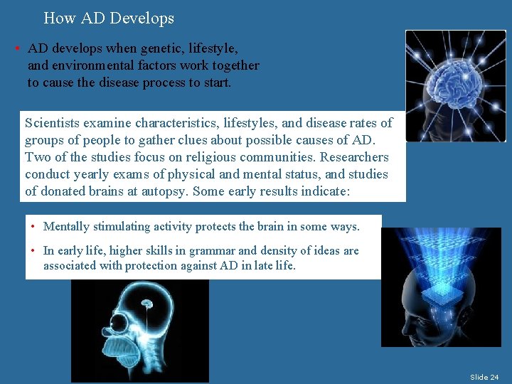How AD Develops • AD develops when genetic, lifestyle, and environmental factors work together