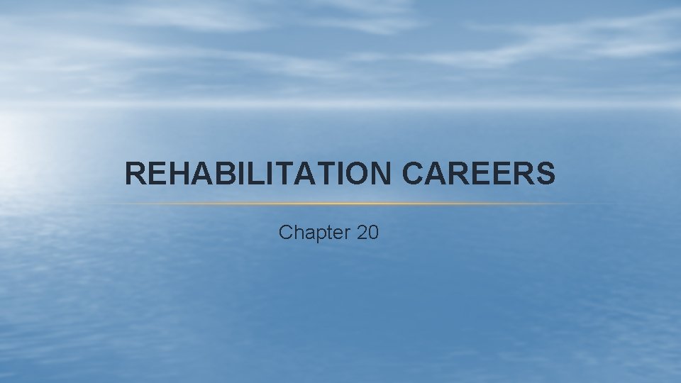REHABILITATION CAREERS Chapter 20 