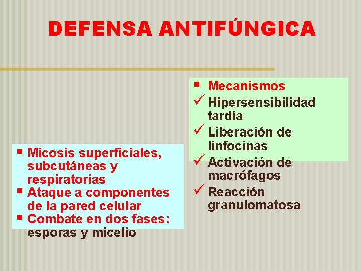 DEFENSA ANTIFÚNGICA § Mecanismos ü Hipersensibilidad § Micosis superficiales, subcutáneas y respiratorias § Ataque