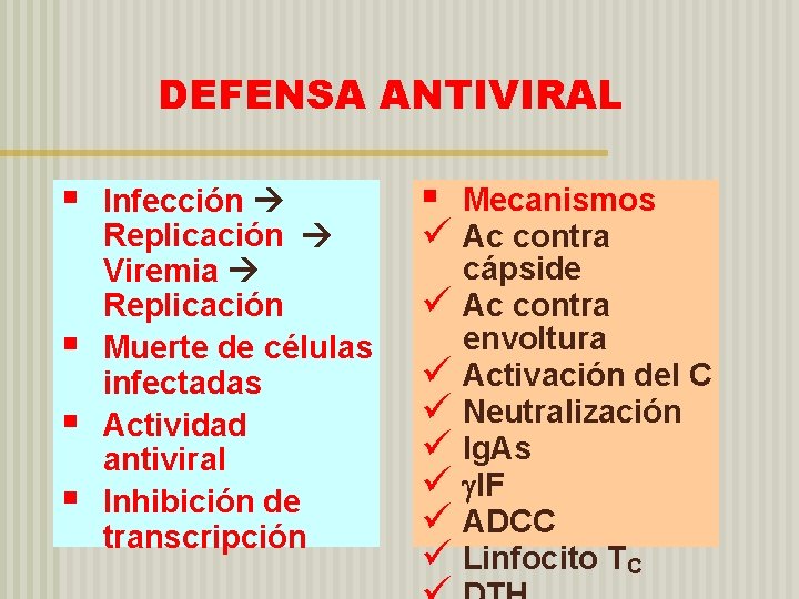 DEFENSA ANTIVIRAL § § Infección Replicación Viremia Replicación Muerte de células infectadas Actividad antiviral