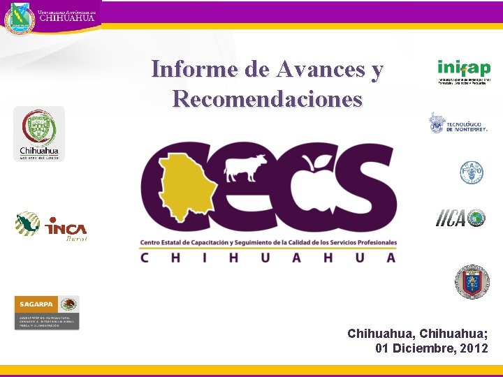 Informe de Avances y Recomendaciones Chihuahua, Chihuahua; 01 Diciembre, 2012 