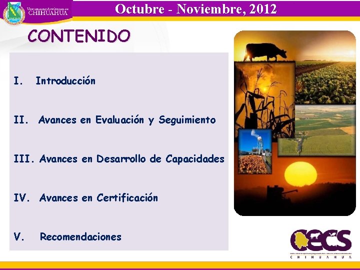 Octubre - Noviembre, 2012 CONTENIDO I. Introducción II. Avances en Evaluación y Seguimiento III.