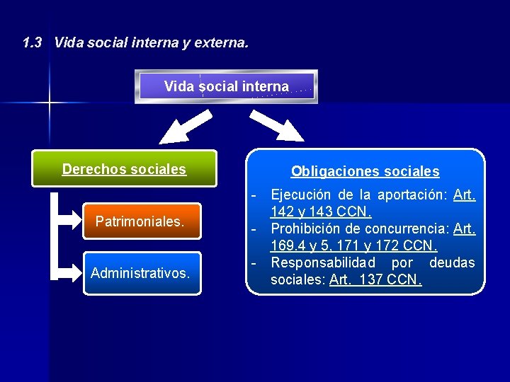 1. 3 Vida social interna y externa. Vida social interna Derechos sociales Patrimoniales. Administrativos.