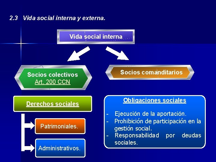 2. 3 Vida social interna y externa. Vida social interna Socios colectivos Art. 200