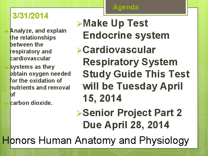 Agenda 3/31/2014 Analyze, and explain the relationships between the respiratory and cardiovascular systems as